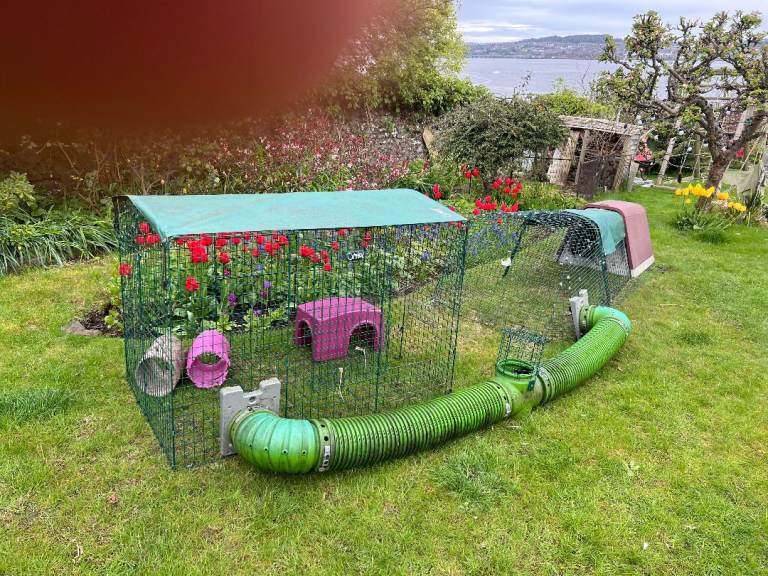 Rabbit Hutch, run and tunnel system