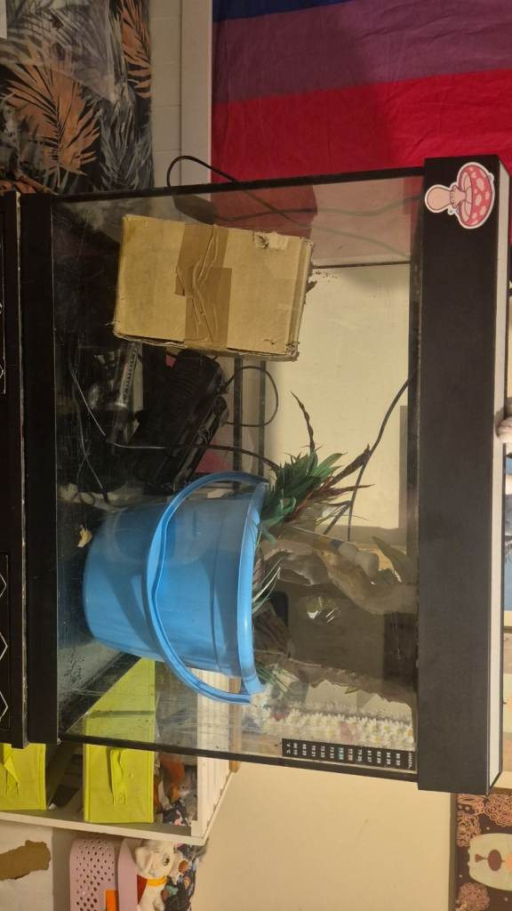 90 litre Fish tank and accessories 