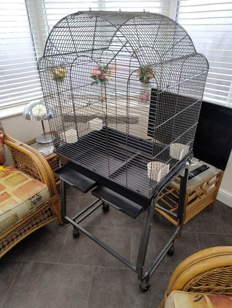 Bird cage 