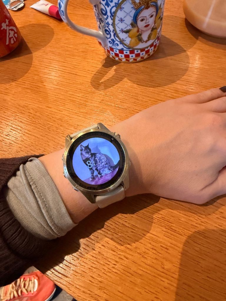 Garmin Fenix 7s