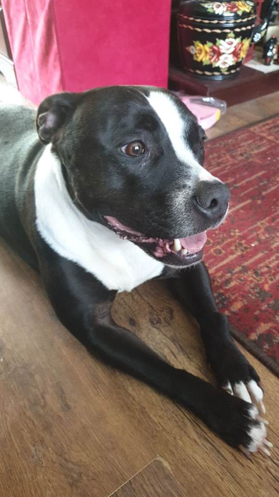 Frank