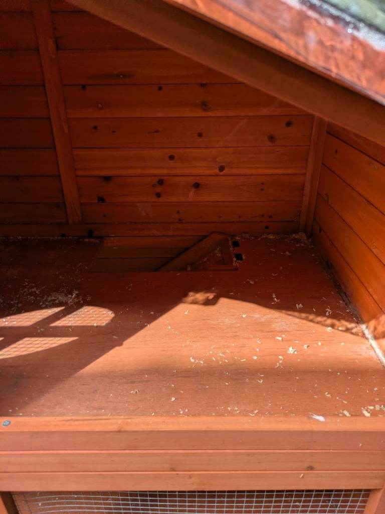 Outdoor guinea pig hutch and cover