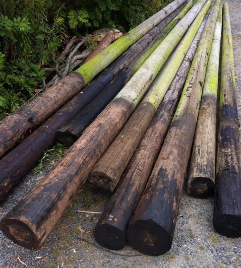 Reclaimed Telegraph Poles Approx 26-36 Feet in length