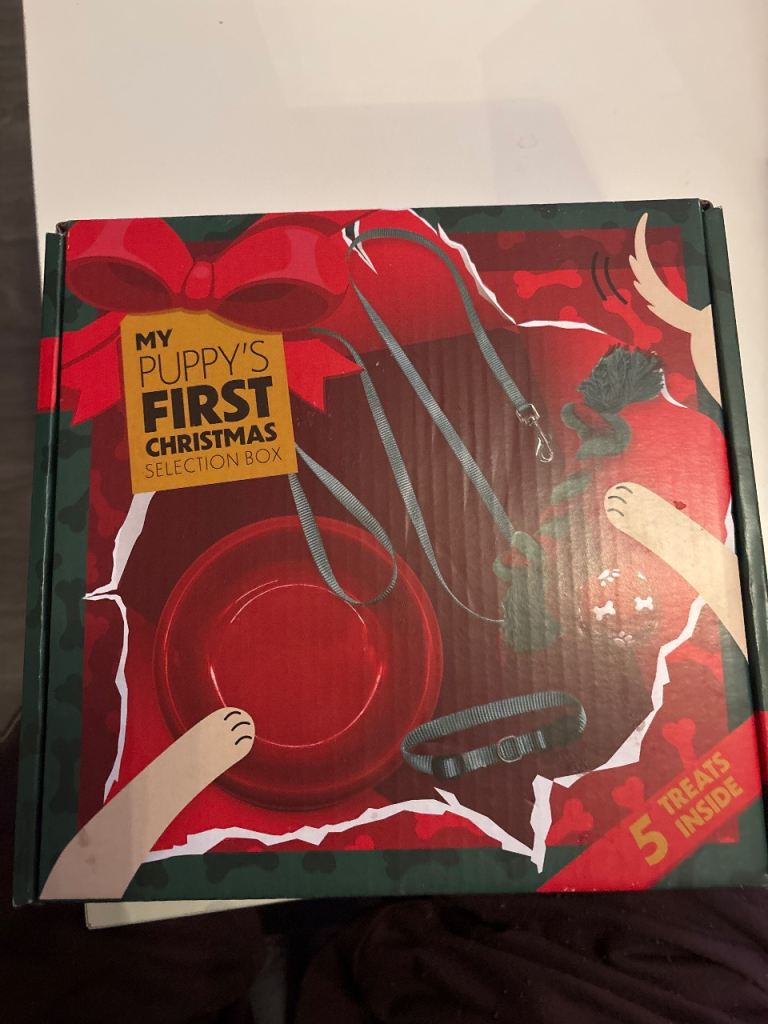 Pets Pet of five things