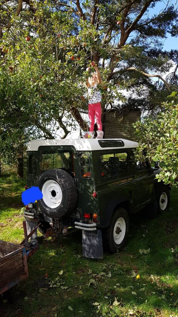 Land Rover Defender Turbo Diesel 2.5 