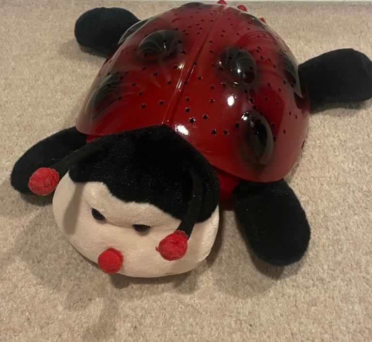 Baby singing and night light toy 