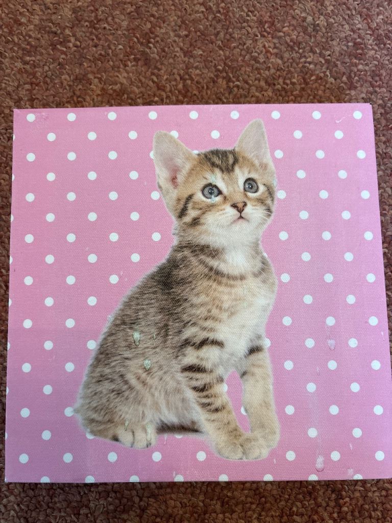 Set of cute animals on canvas