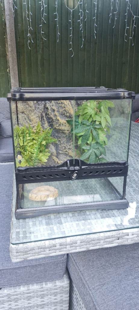 Reptile Glass terrarium 