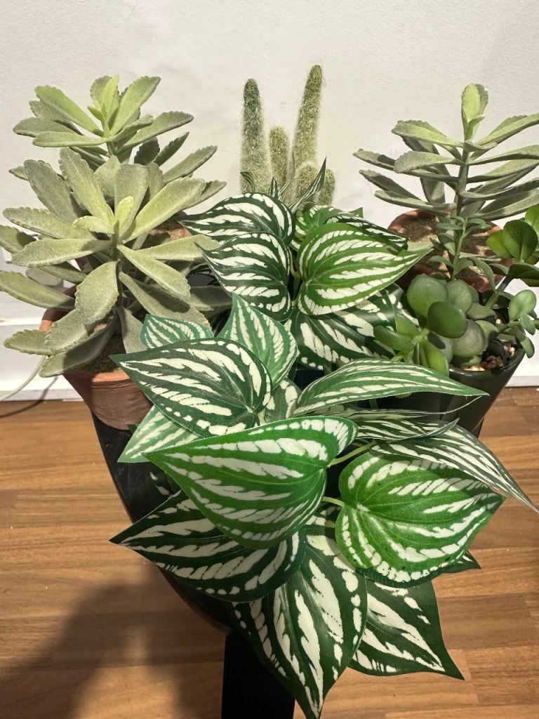 7 small ornamental artificial plants 