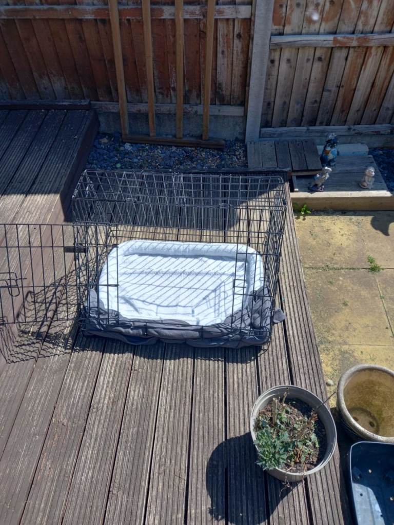 Medium size dog crate