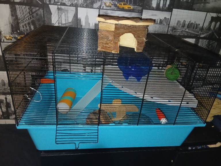 Hamster cage with accessories 