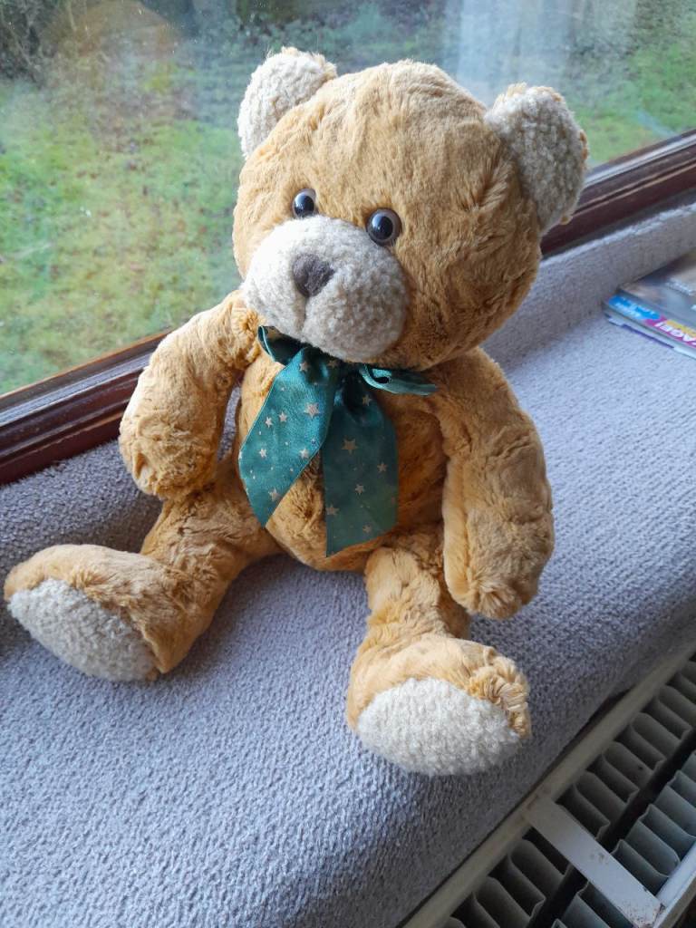 Lovely Ted in Mark