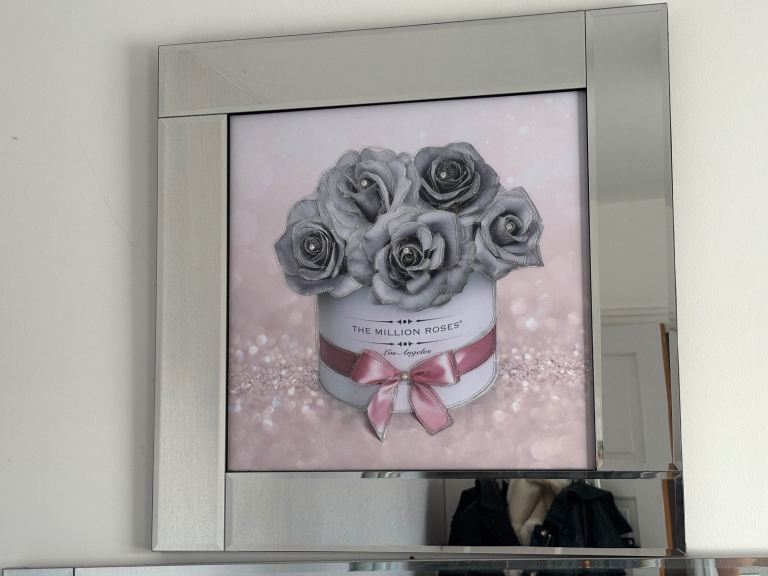 Million Roses Mirrored Picture