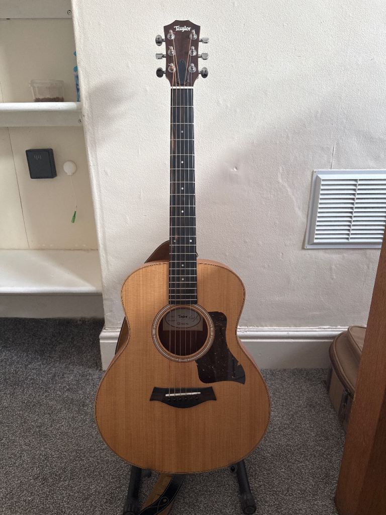 Taylor gsmini