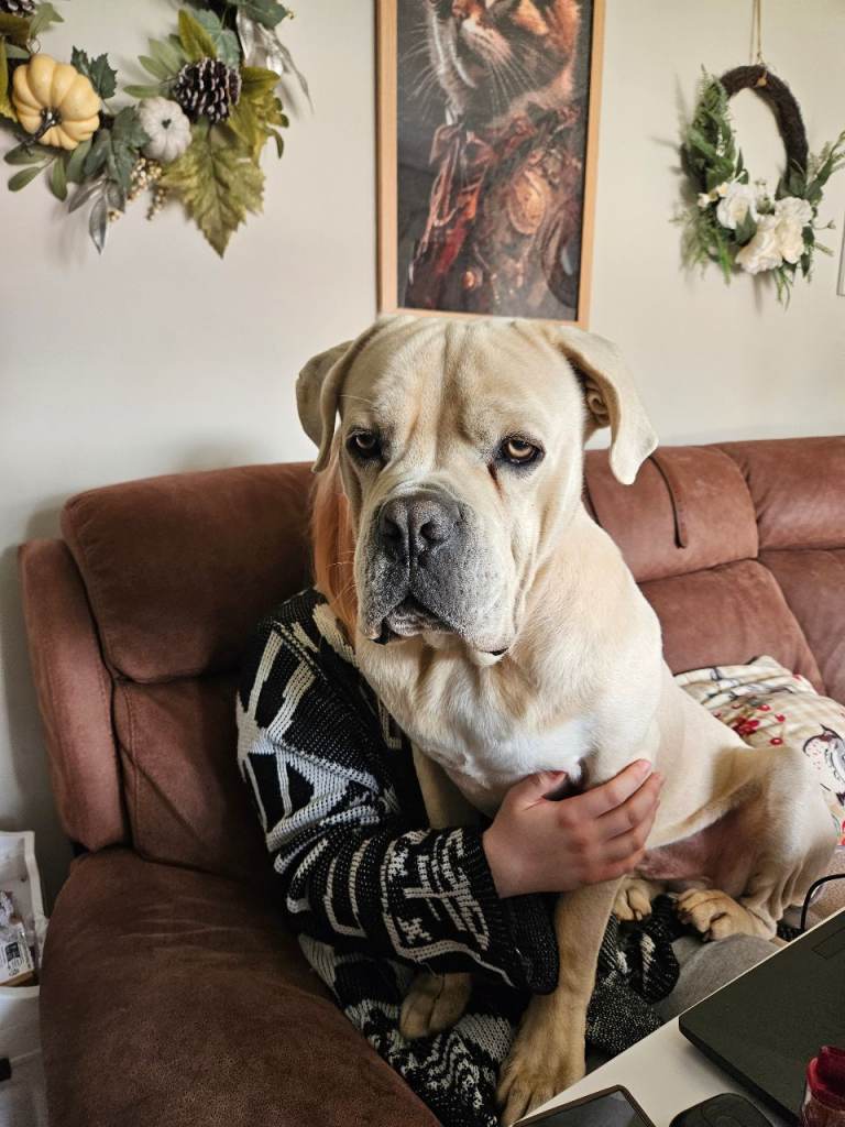 Are you my forever home?