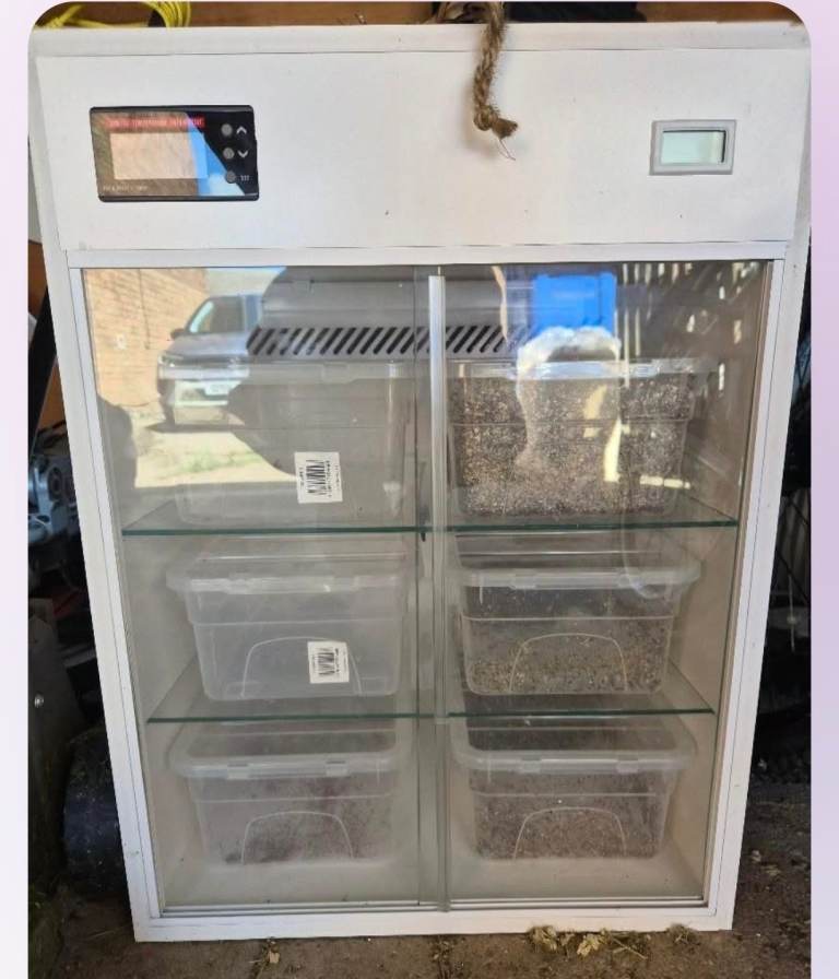 Herp exotic Incubator