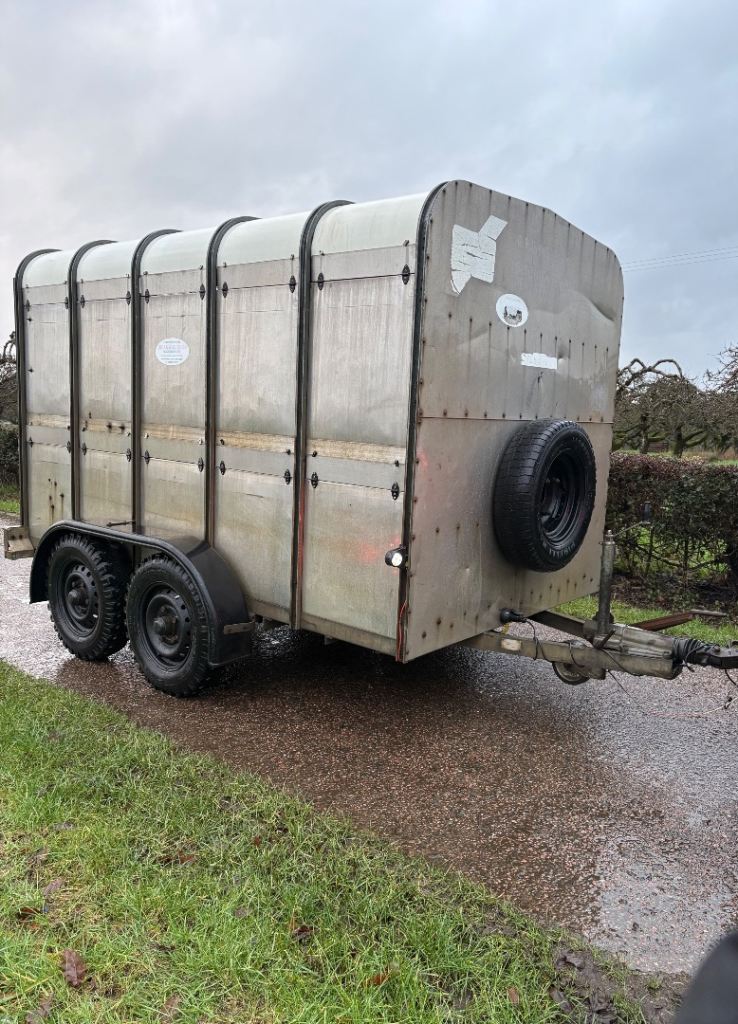 Ifor Williams 10ft livestock trailer 