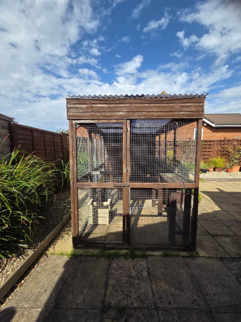 Outdoor cattery