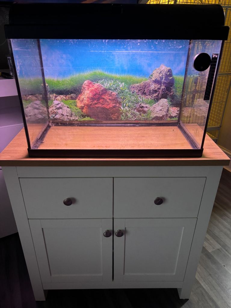 Fish tank and accessories 