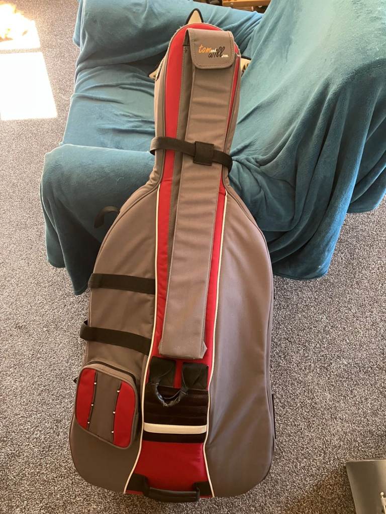 Cello case