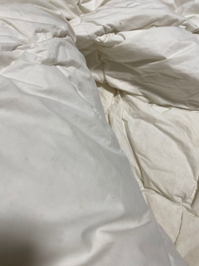 2 x double winter or summer white goose down duvets - £8 (Wallisdown)