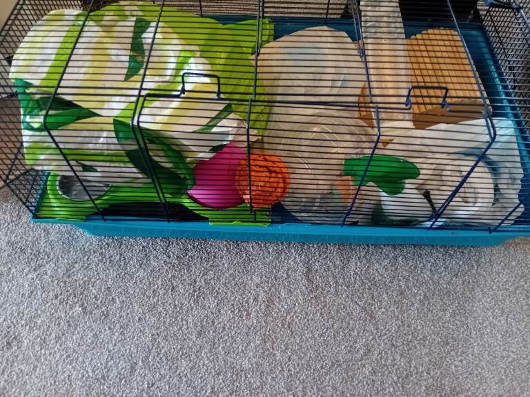 Hamster cage with accessories that