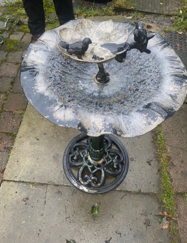 Bird bath/feeder