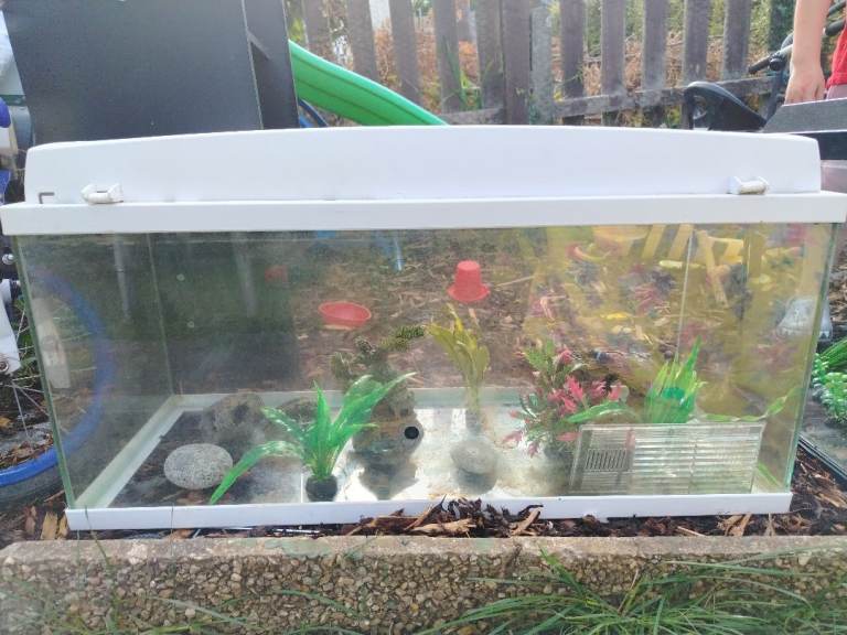 80 litres tank with filter media all cleaned out and ready 
