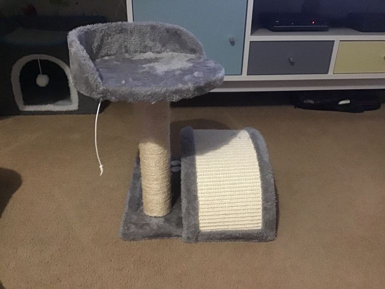 Cat scratch post