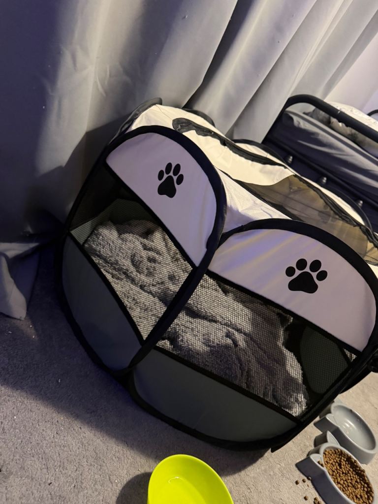 Portable Pet Playpen or Carrier with Mesh Panels