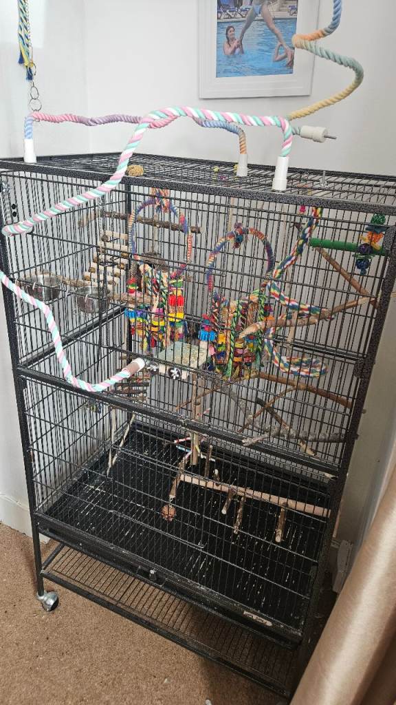  Bird cage
