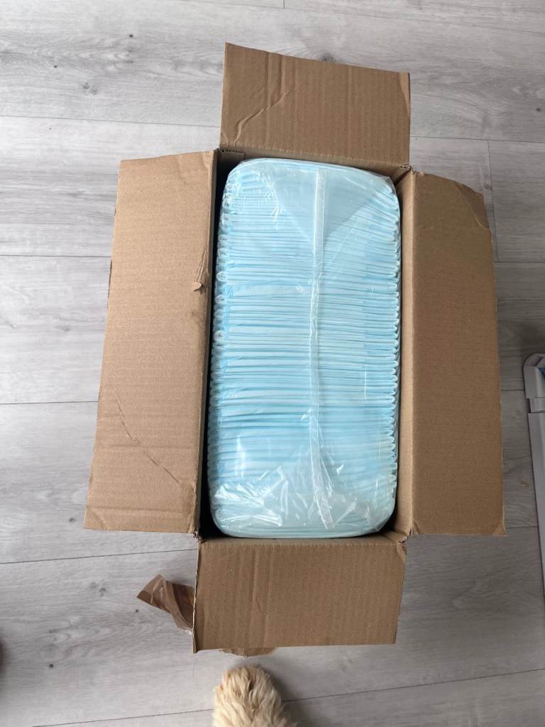 Puppy Pee Pad Holder + Training Pads – £25