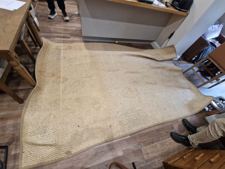 Free Large Beige Woven Rug / Carpet