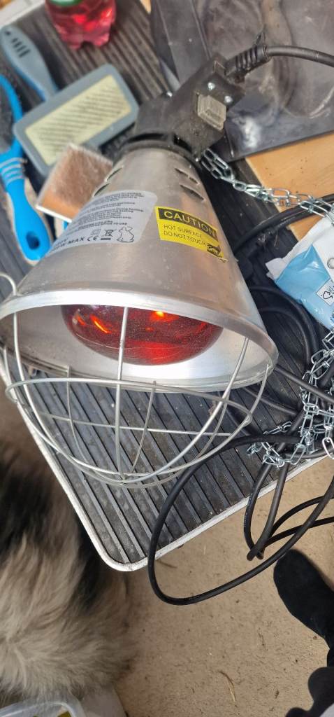 Red bulb heat lamp
