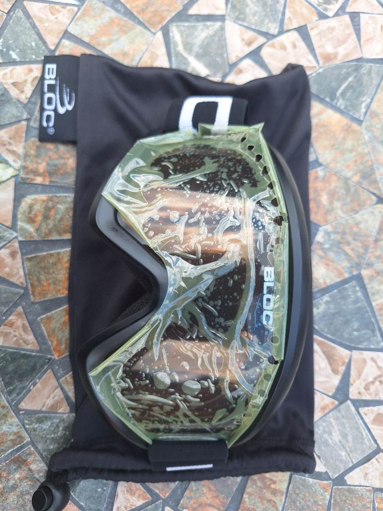 Ski goggles