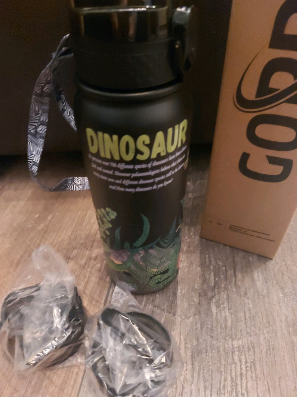 Goppus dinosaur stainless steel insulated water bottle