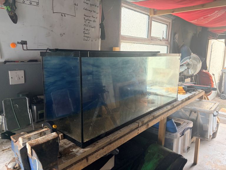 Aquarium and extras for sale