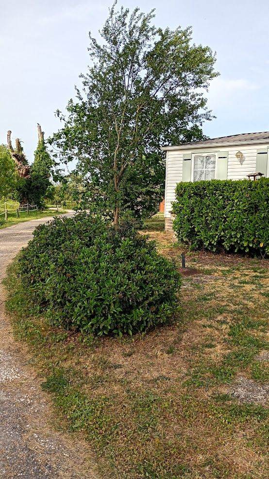 LOVELY STATIC CARAVAN FOR SALE IN S.W.FRANCE