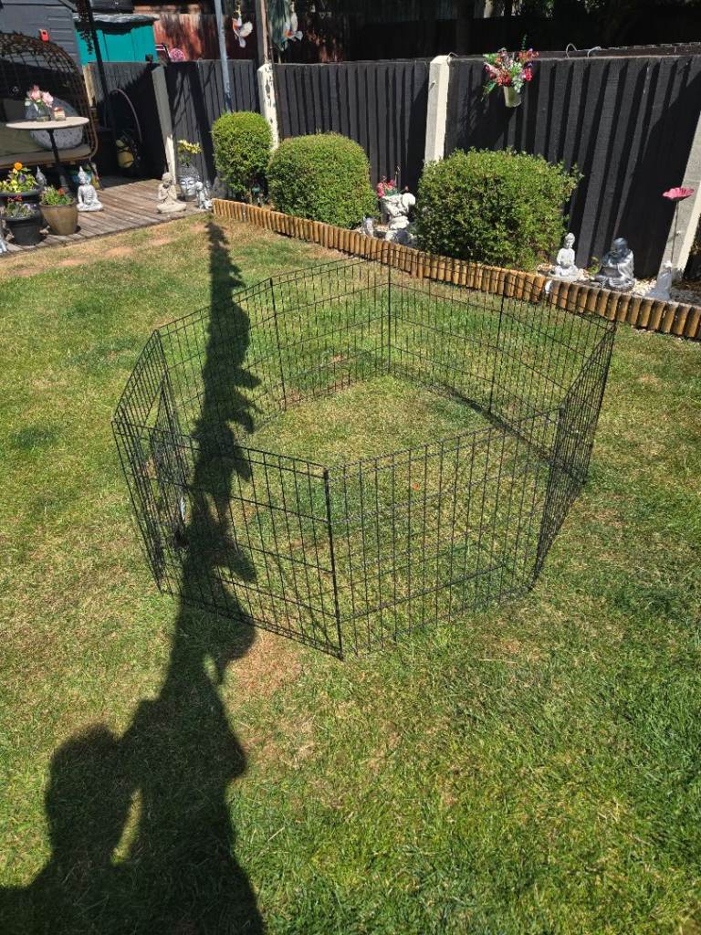 Puppy's playpen 