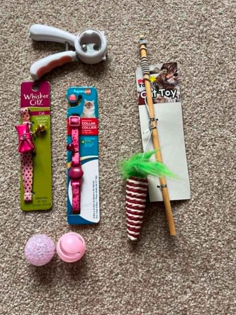 5 NEW Cat Accessories 