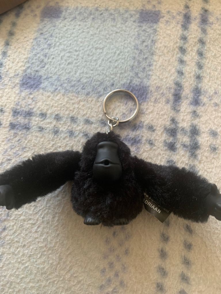 Kipling monkey key ring