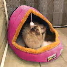 Pet Dog Cat Warm Soft Bed Pet Cushion Dog Kennel Cat Castle Foldable Puppy House with Toy Ball
