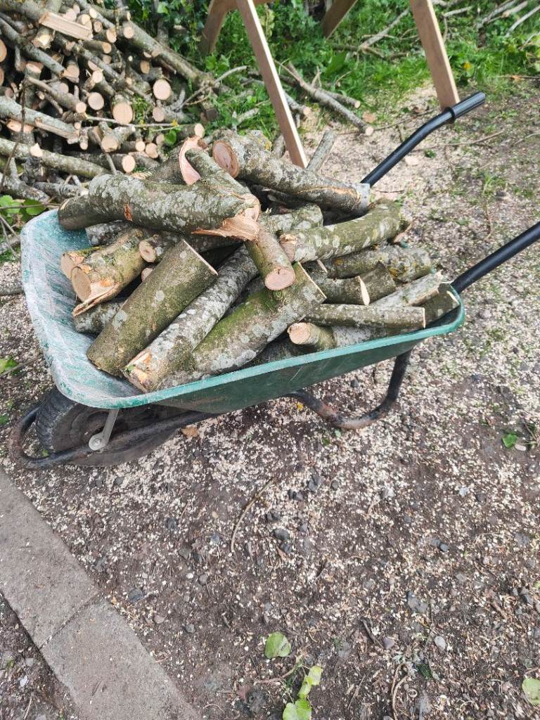 Fresh ash logs/full wheelbarrow 