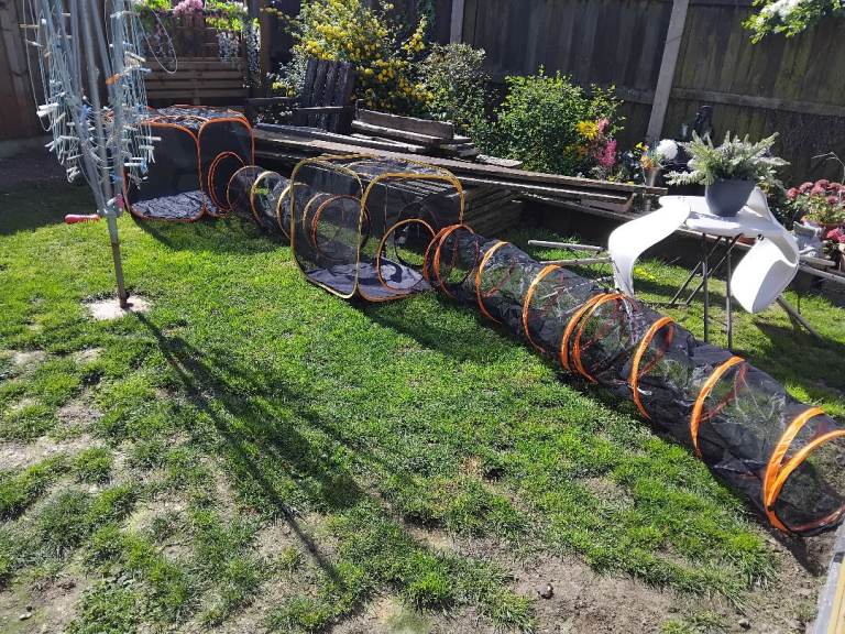 Small Pet indoor/Outdoor play run