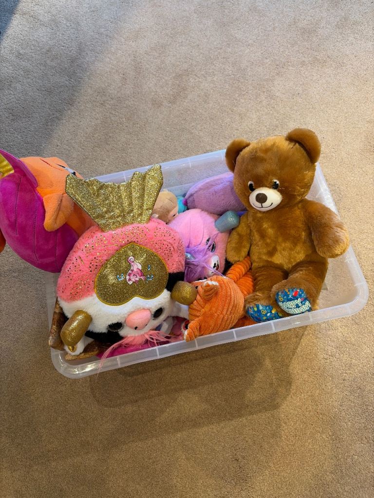 Plush Toys / Teddies