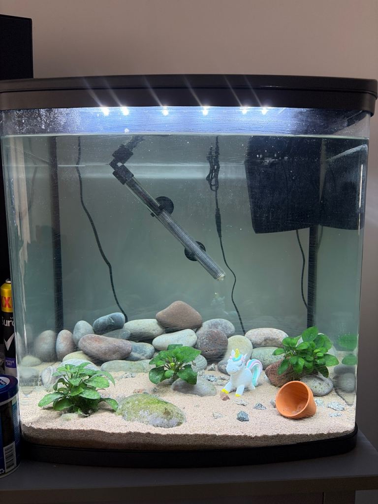 94ltr fish tank