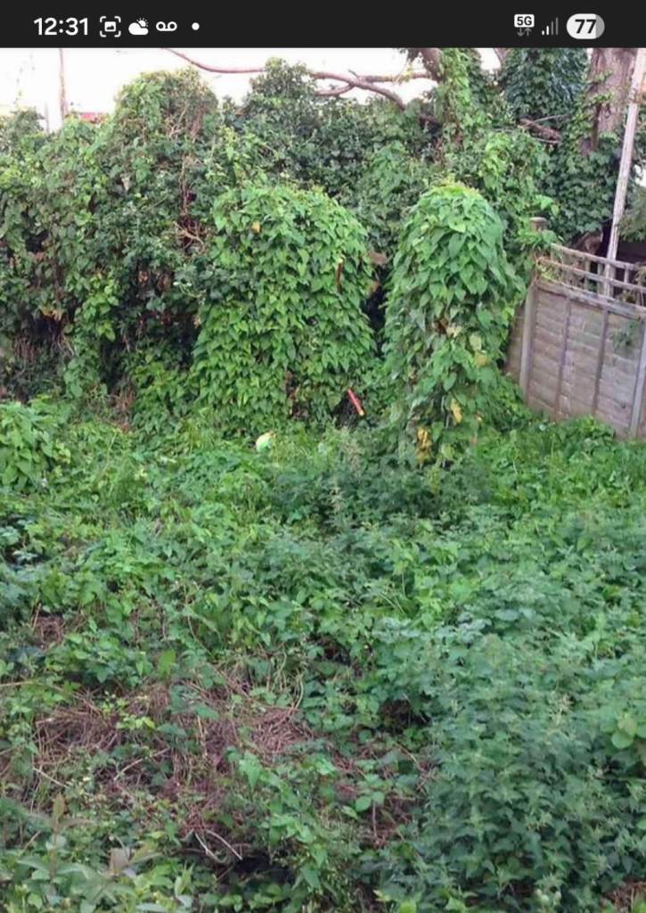 Complete garden services. We do it all.