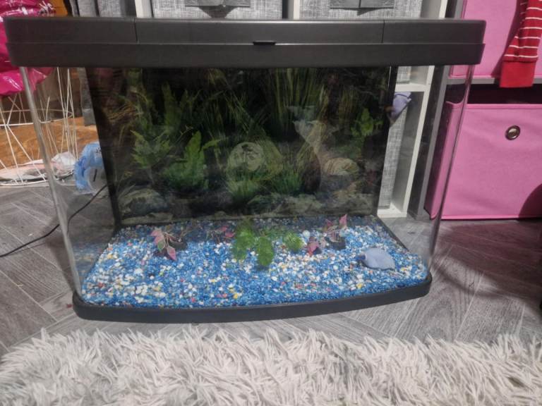 Love fish panorama fish tank 64 litre