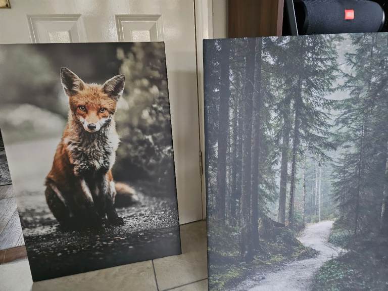2 large art prints of a fox and trees