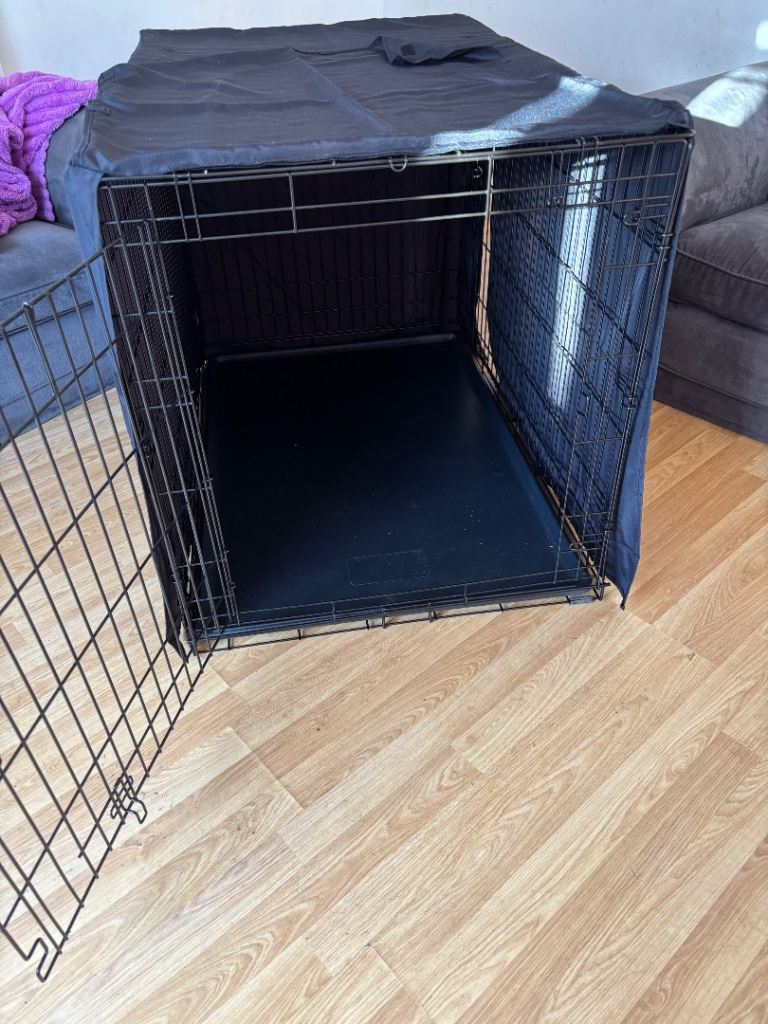 Dog cage 